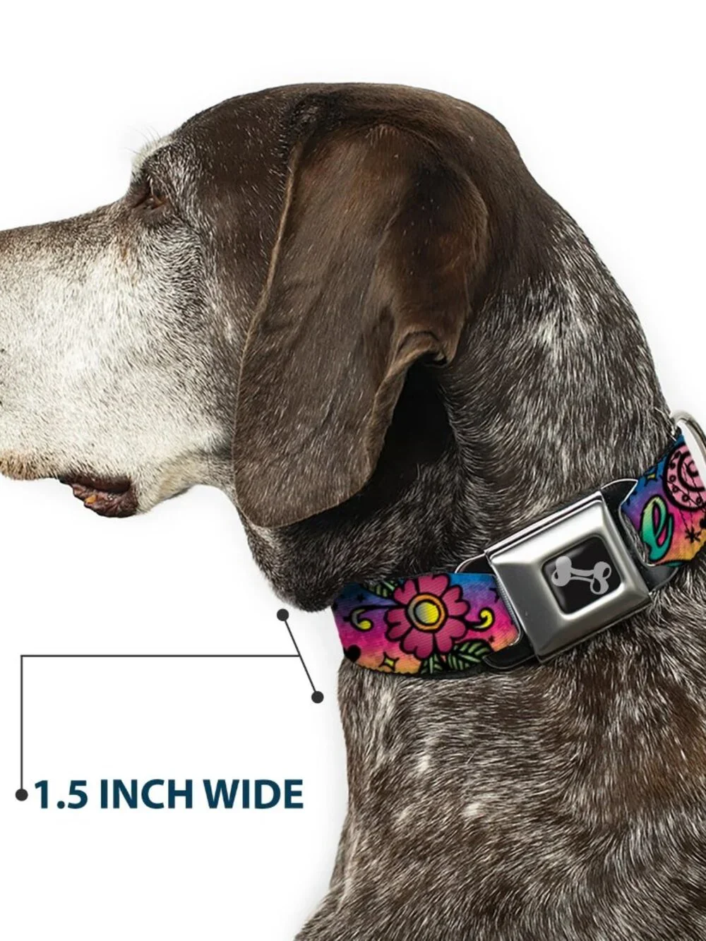 New Dog Collar 18 to 32 Inches 1.5